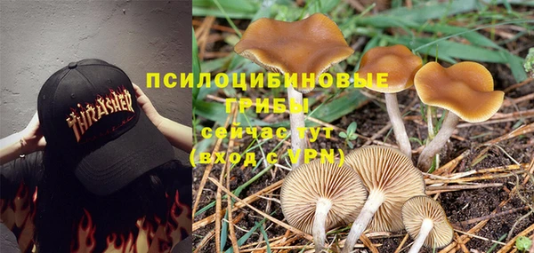 соль ск Баксан